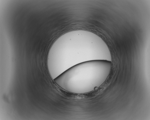 X0000116830420200912181058