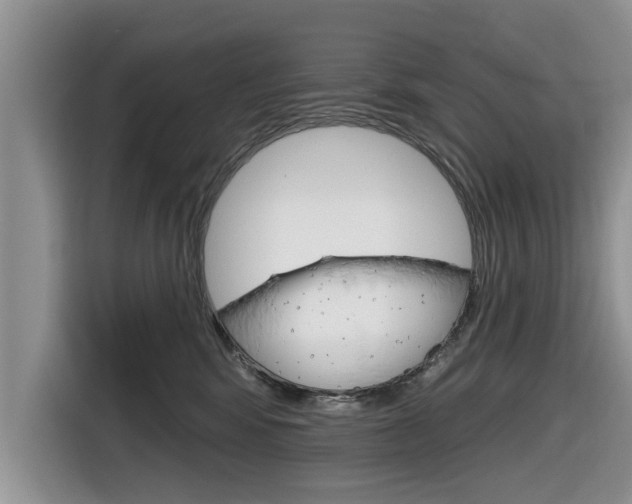 X0000116830424200912181058