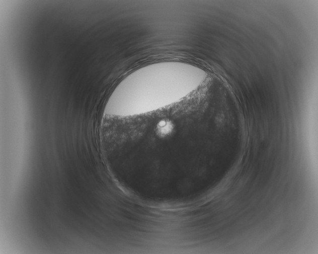 X0000116830426200912181058