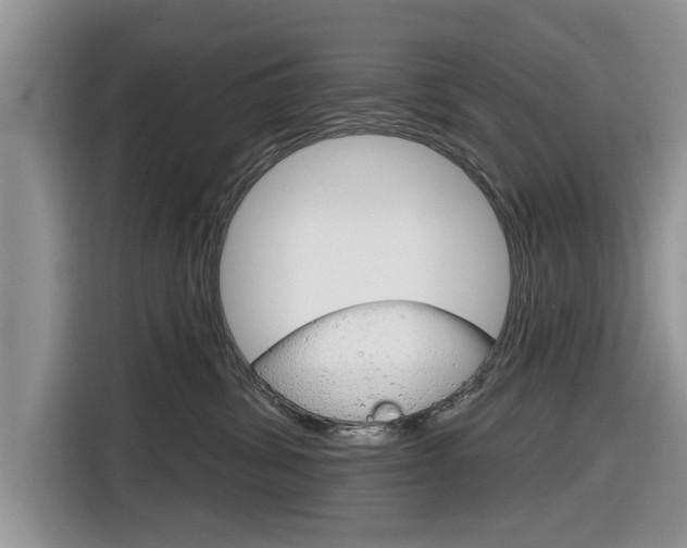 X0000116830428200912181058