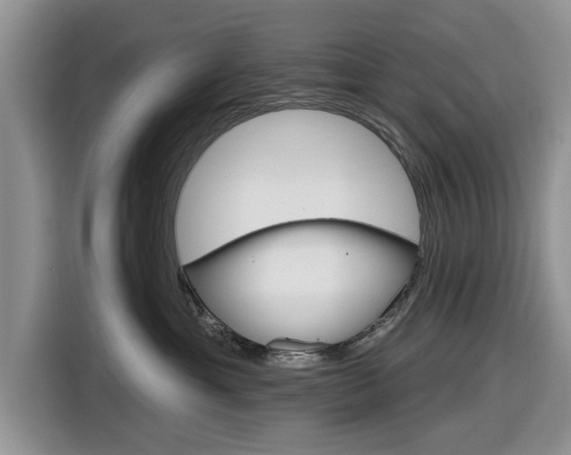 X0000116830429200912181058