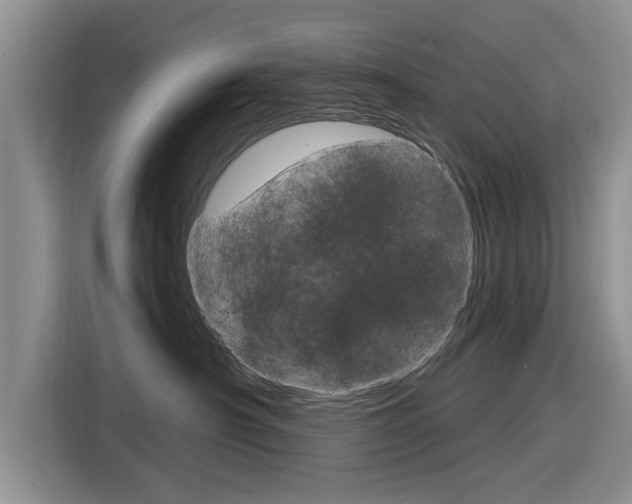 X0000116830430200912181058
