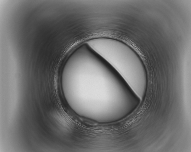 X0000116830434200912181057