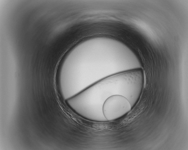X0000116830435200912181057