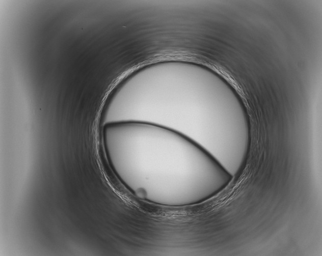X0000116830438200912181057