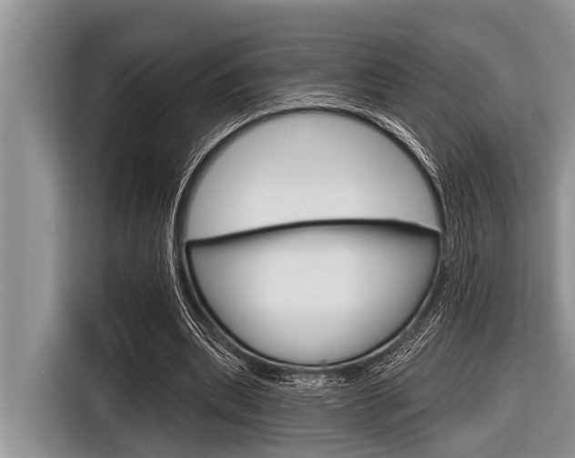 X0000116830439200912181057