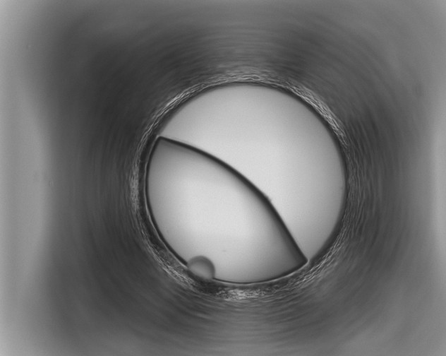 X0000116830442200912181057