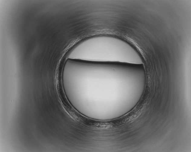 X0000116830443200912181057