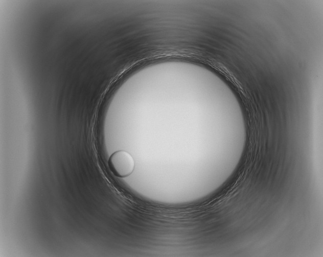 X0000116830444200912181057