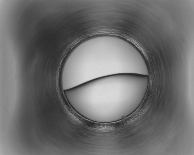 X0000116830445200912181057