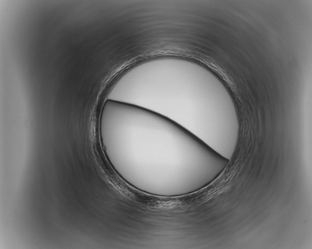 X0000116830446200912181057