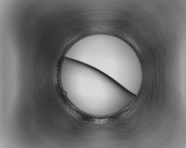 X0000116830450200912181057