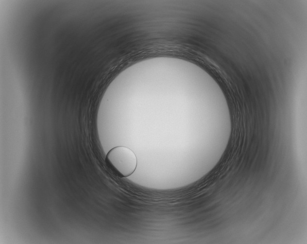 X0000116830452200912181057