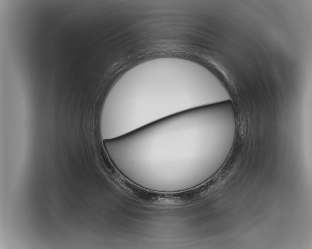 X0000116830455200912181057