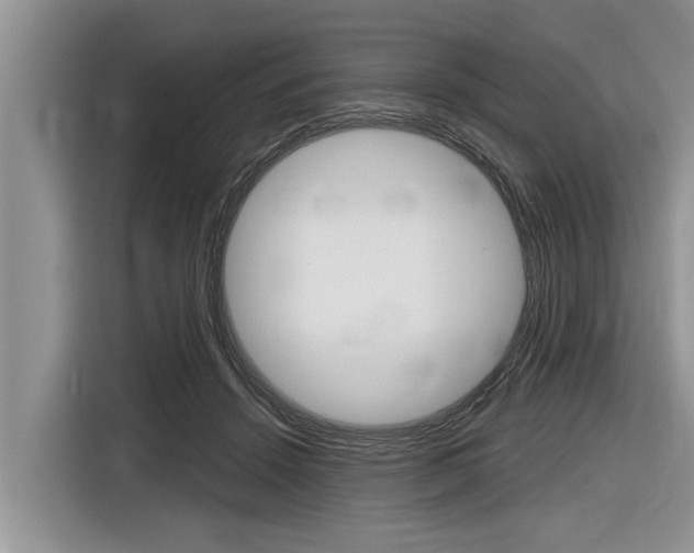 X0000116830456200912181057