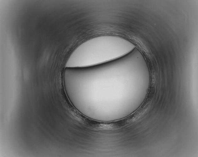 X0000116830457200912181057