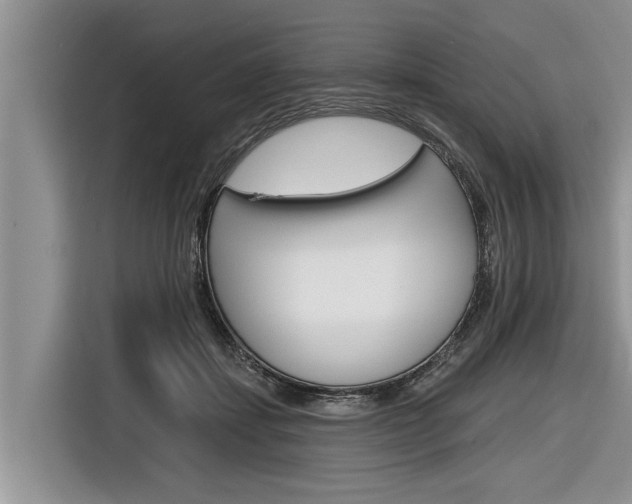 X0000116830459200912181058