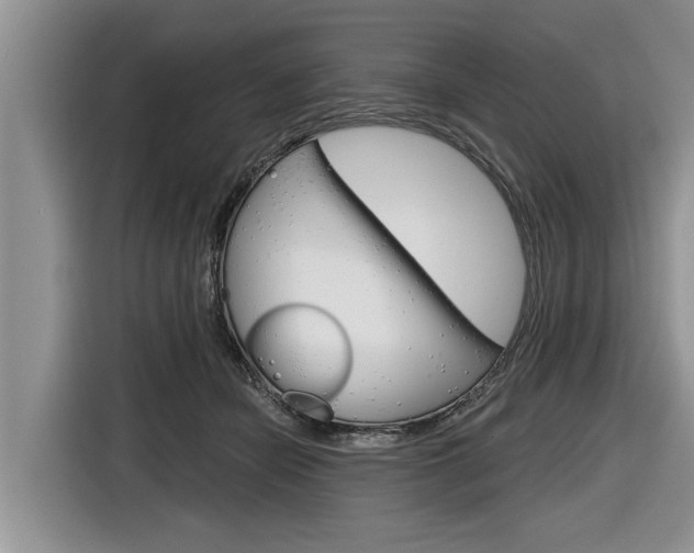 X0000116830462200912181058