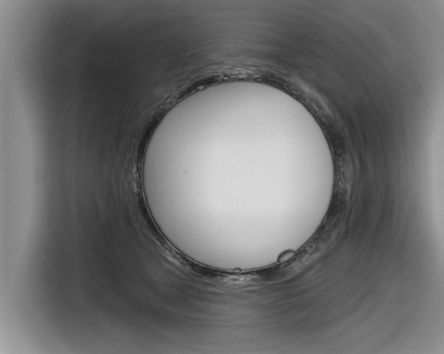 X0000116830465200912181058