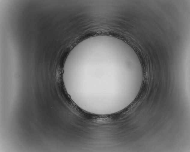 X0000116830468200912181058