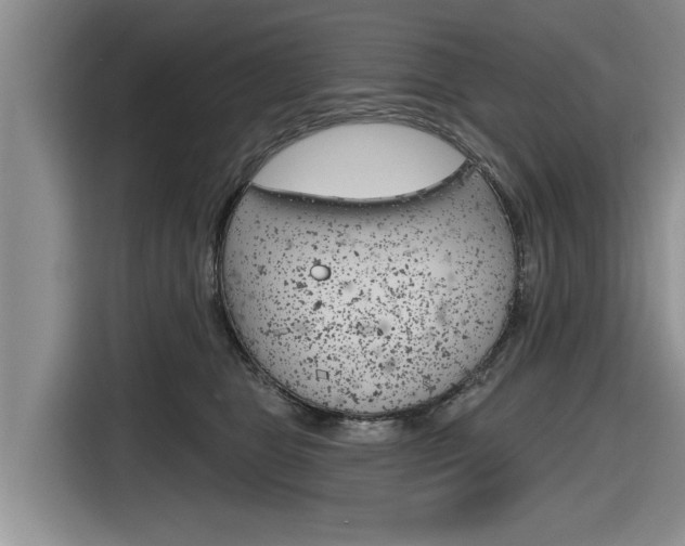 X0000116830469200912181058