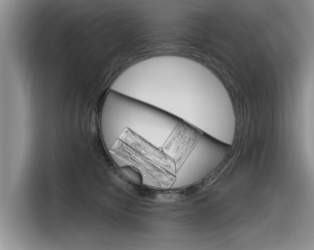X0000116830470200912181058