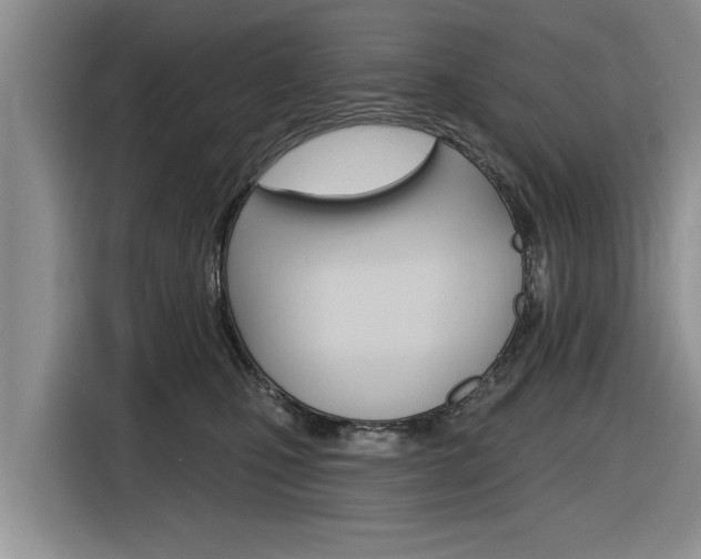 X0000116830471200912181058