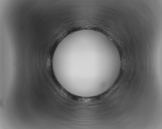X0000116830472200912181058