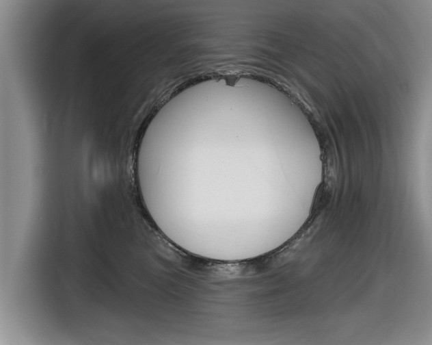 X0000116830473200912181058