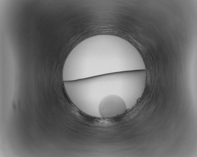 X0000116830475200912181058
