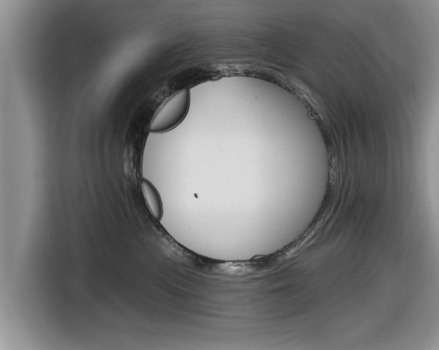 X0000116830477200912181058