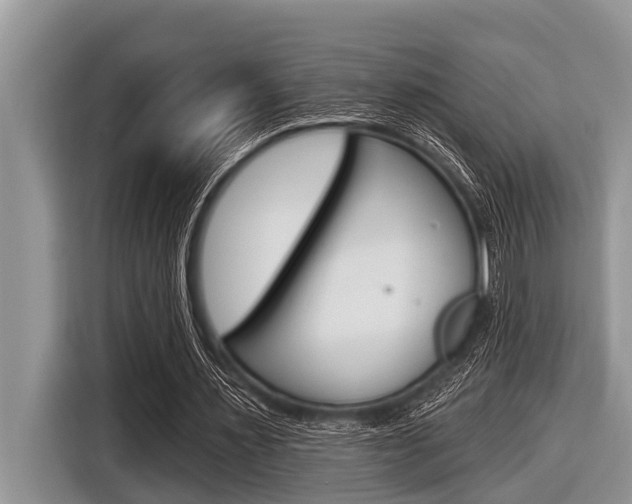 X0000116830483200912181057