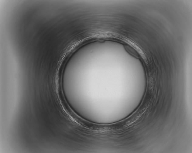 X0000116830485200912181057