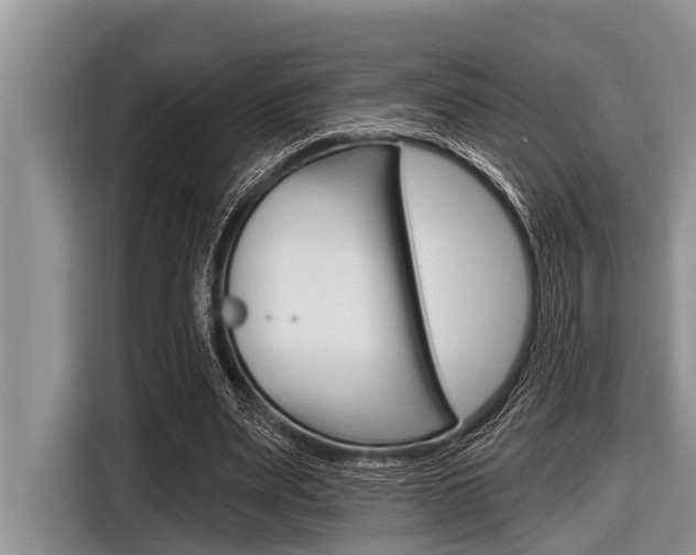 X0000116830487200912181057
