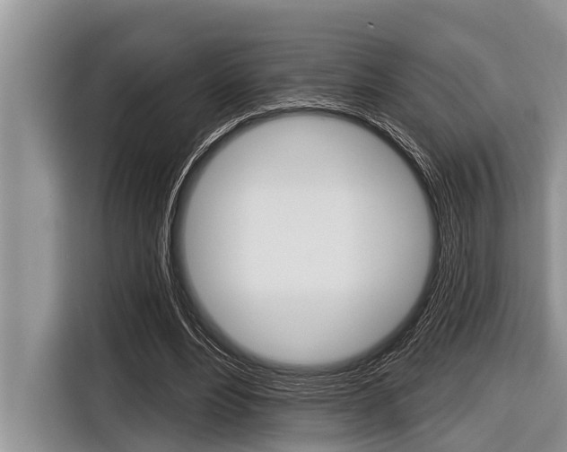 X0000116830488200912181057