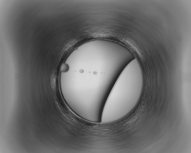 X0000116830491200912181057
