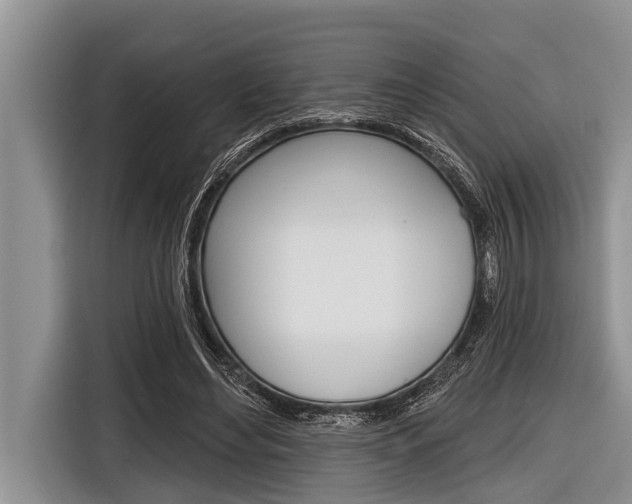 X0000116830492200912181057