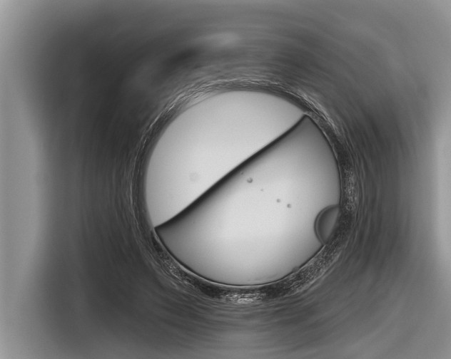 X0000116830495200912181057