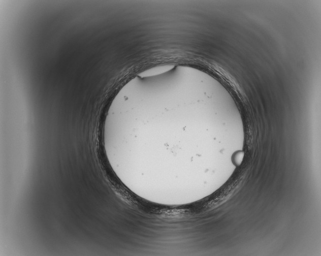 X0000116830497200912181057