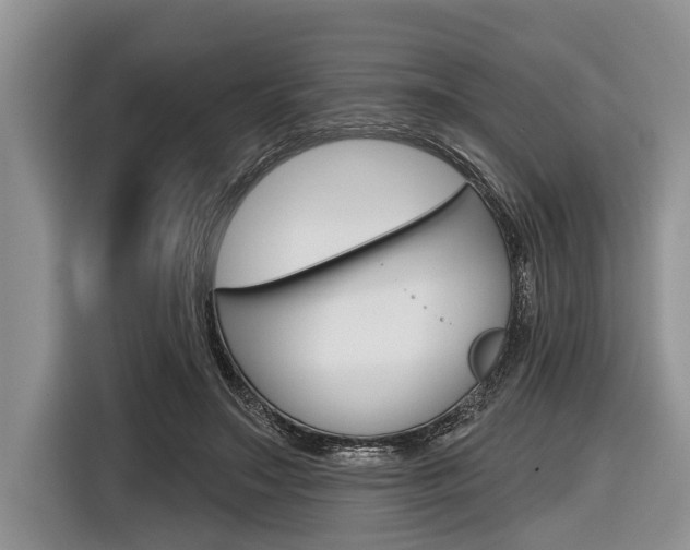 X0000116830499200912181057