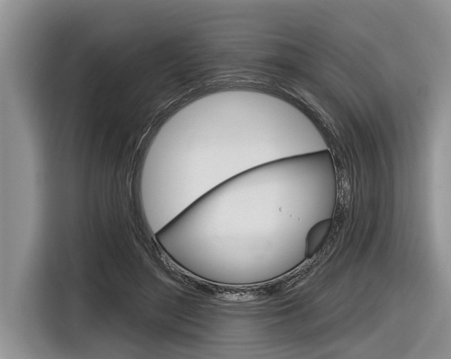 X0000116830500200912181057
