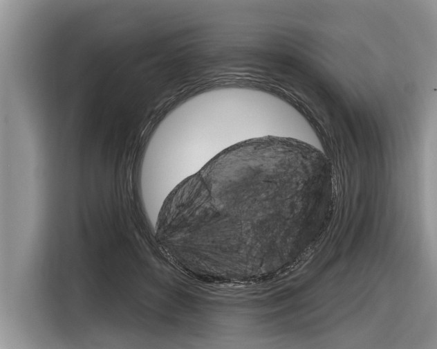 X0000116830504200912181057