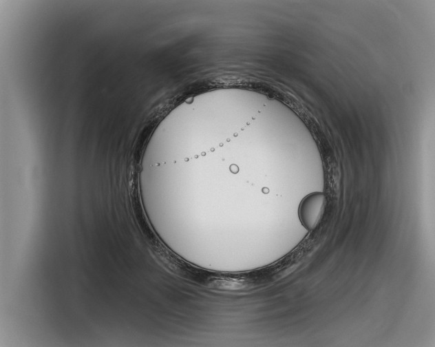 X0000116830507200912181057