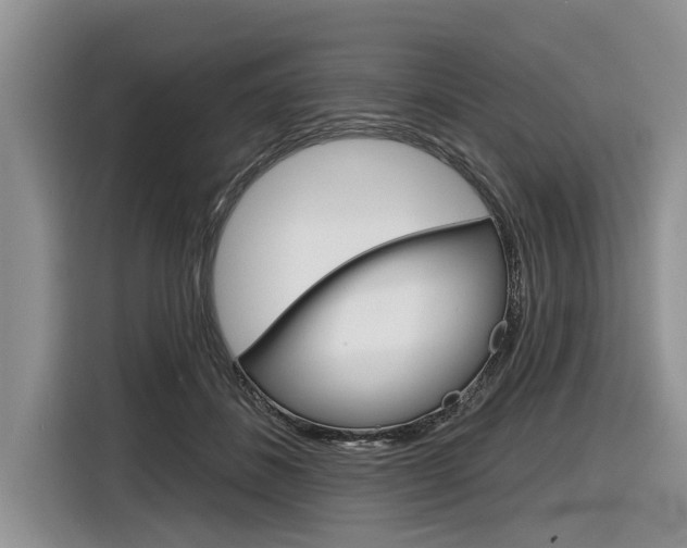 X0000116830508200912181057