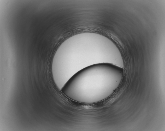X0000116830509200912181057