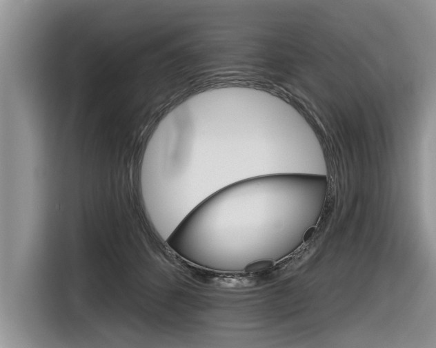X0000116830512200912181057