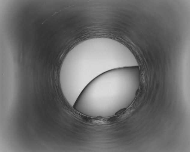 X0000116830516200912181057