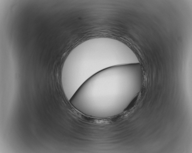 X0000116830520200912181057