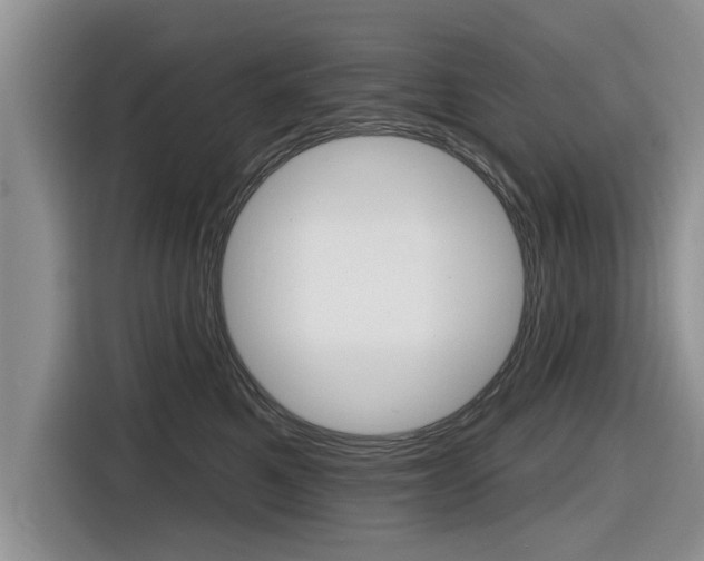 X0000116830521200912181057