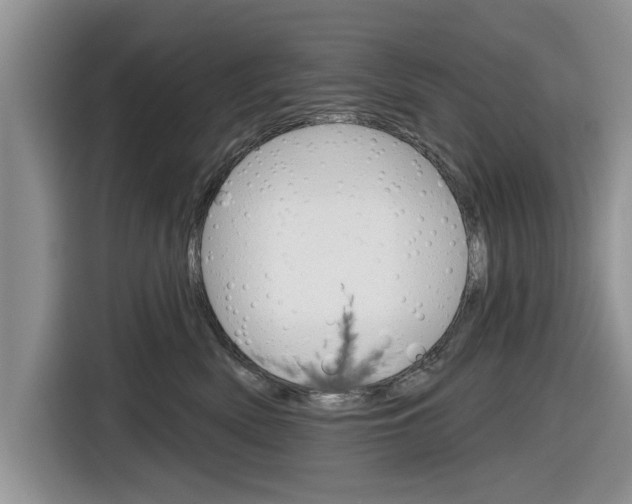 X0000116830522200912181057
